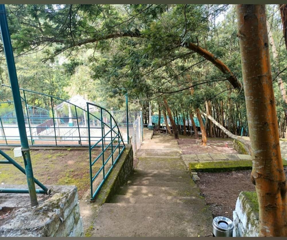 The Den By Trees Hotel Kotagiri Bagian luar foto